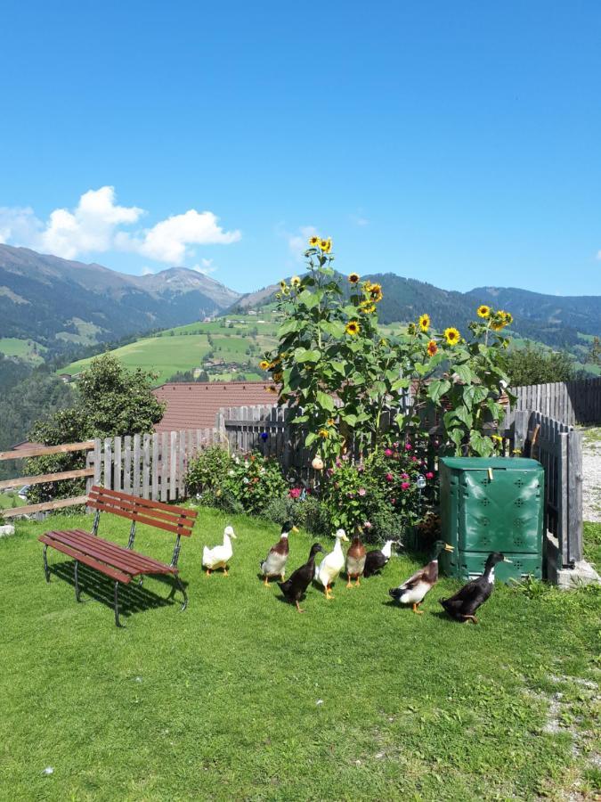 Ferienhaus Unterblasbichl Villa Fusch an der Glocknerstraße Esterno foto